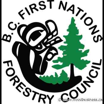 20 First Nations denounce engagement process on modernization of forest policy in BC - Wood Business - Canadian Forest Industries