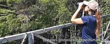 In the Atlantic Forest, 'food forests' could be lifeline for rare Brazilian birdlife - Landscape News