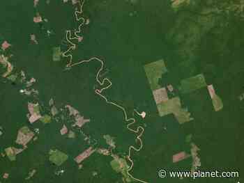 NICFI Tropical Forest Basemaps Now Available in Google Earth... - planet.com
