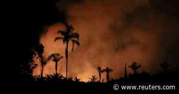 Amazon fires surge anew in Brazil as cleared forest burns - Reuters