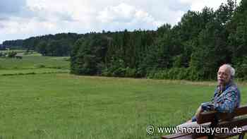 Die Wiesenknopfwiese am Ebersbacher Weg in Neunkirchen am Brand - Nordbayern.de