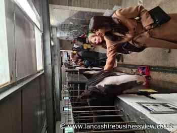 Blackburn with Darwen Carers has a fun day out at HAPPA - Lancashire Business View