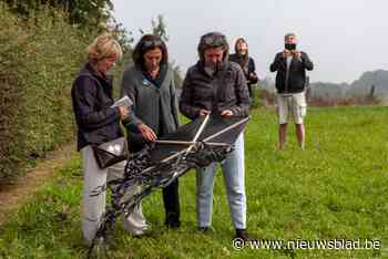 Acht kilometer wandelen langs kunstroute… en onderweg een vlieger maken - Het Nieuwsblad