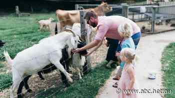 'We're so ready': Farmstays thrilled to throw open gates as lockdown lifts on North Coast