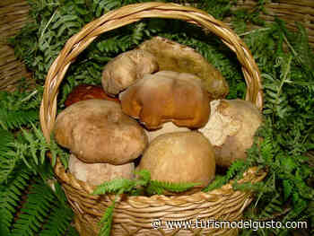 Gusto & natura, a “Cagli, Terre del fungo” - Turismo del Gusto - Testata giornalistica registrata Tribunale di Torino n. 5849 del 26.03.05 - pagine elettroniche allegate rivista Il Pinzimonio