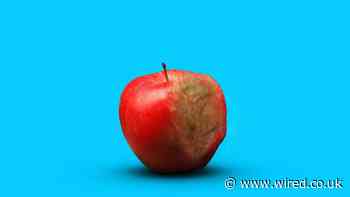 These super crops can save us from climate disaster