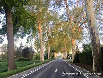 Riemst wil meer trajectcontroles op haar gewestwegen (Riemst) - Het Nieuwsblad