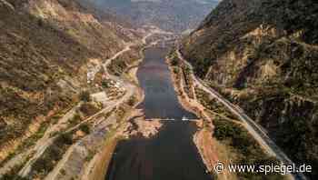 A Biology Student Versus Beijing The Triumph Of Environmental Activism In China Der Spiegel International Edition Trending Uk News Newslocker