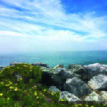 Evelyn JoAnn “Lyn” Bayne 1952-2021 • Bethany Republican-Clipper - Bethany Republican-Clipper