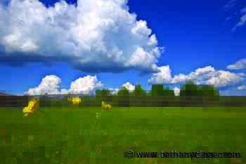 Edith A. Foster 1923-2021 • Bethany Republican-Clipper - Bethany Republican-Clipper