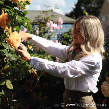 Gardener Daisy Payne shares her favourite thing to plant this time of year - Ideal Home