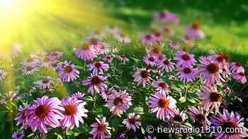 Southern Idaho Master Gardener Symposium Event on Saturday - News Radio 1310 KLIX