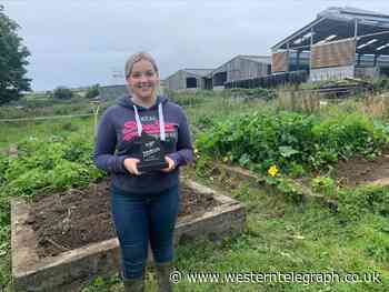Moylegrove gardener Heledd Evans is top of the crops! - Western Telegraph