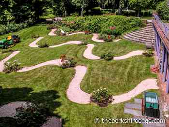 THE SELF-TAUGHT GARDENER: Shared paths - theberkshireedge.com