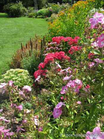 Master gardener to lead outdoor talk on dividing perennials - Courier-Gazette & Camden Herald