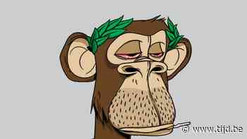 Tokens van verveelde apen halen ruim 20 miljoen euro bij Sotheby's - De Tijd