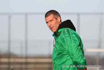 Coach Wesley Van Audenaerde: “Meerdere spelers kunnen scoren” - Het Nieuwsblad