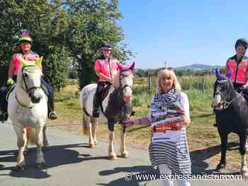 Dudley highways boss supports horse road safety campaign - expressandstar.com