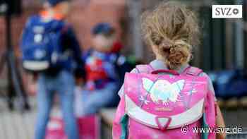 Ludwigslust-Parchim: Corona-Lage hat sich an den Schulen im Landkreis beruhigt | svz.de - svz – Schweriner Volkszeitung