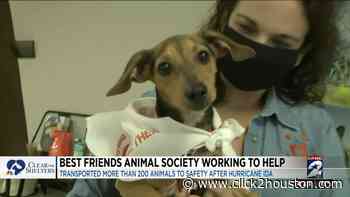 Houston businessman calls on Houston to help clear the shelters - KPRC Click2Houston