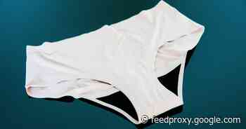 Best period underwear in 2021     - CNET