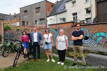 Nieuw traject van De Fietsgids brengt je langs Mechelens mooiste muurschilderingen