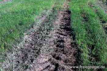 Zerpflügte Wiese bei Brockau: Zoff um Entschädigung - Freie Presse