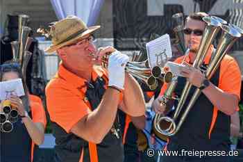 Flutbenefiz-Konzert in Reichenbach: Von Phil Collins bis Schalmeien - Freie Presse