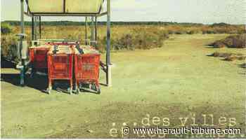 Frontignan : les expositions qui accompagnent le FIRN 2021 - Hérault-Tribune