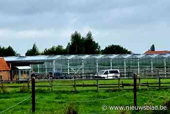 15 zwartwerkers aangetroffen bij controle in tomatenkwekerij: twee mensen aangehouden