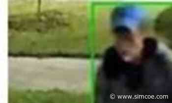 Police looking for suspect after items stolen from vehicles in Alliston - simcoe.com