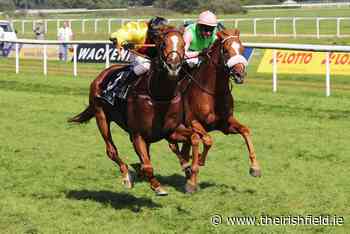GERMANY: Tasso confirms German form in Baden-Baden - The Irish Field