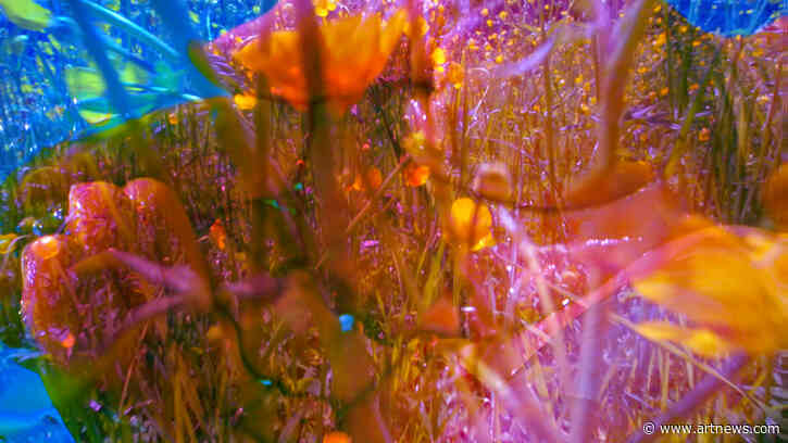 How Pipilotti Rist Made Menstrual Blood Mesmerizing
