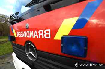 Grasmaaier in brand gestoken in Lommel - Het Belang van Limburg