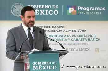 Tello Cristerna deja Zacatecas con una “violencia sin límites”: Nahle - La Jornada