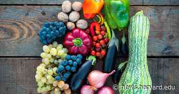 Diet could affect coronavirus risk according to MGH study - Harvard Gazette