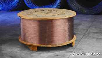 Capua, ruba una bobina di mille metri di rame: arrestato 32enne di San Prisco - PUPIA