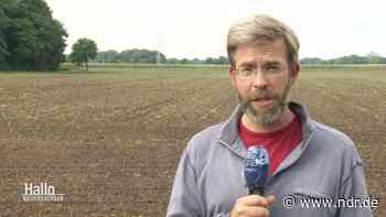 Zahlreiche mumifizierte Schweine auf Hof in Garrel entdeckt - NDR.de