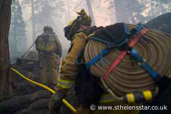 California wildfires at risk of sparking as wind blows in - St Helens Star