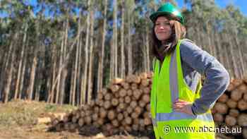 With a shortage of building timber, why send eucalyptus nitens overseas as woodchips?