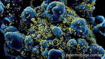 Brote De Coronavirus En Un Colegio De La Ciudad De Buenos Aires. - Palermo Online