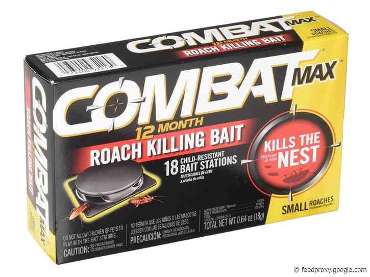 The 5 best roach killers in 2021