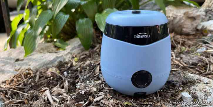 The 5 best mosquito repellents of 2021, including candles and sprays