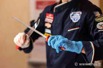 Campionato italiano giovani macellai, 16 in gara a Modena - Agenzia ANSA