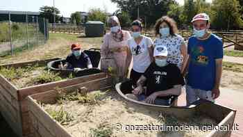 Modena Il 20enne Andrea, nonna Luisa e quegli orti di viale Gramsci - La Gazzetta di Modena