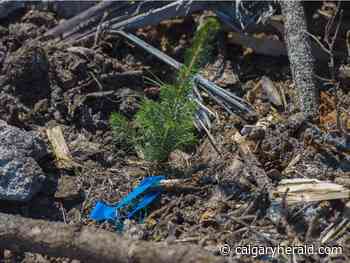 Your letters for Sept. 9 - Calgary Herald