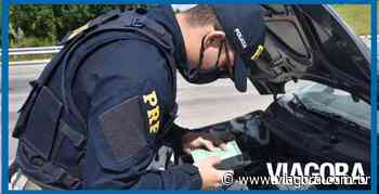 PRF prende homem suspeito de receptação de veículo em Timon - Viagora