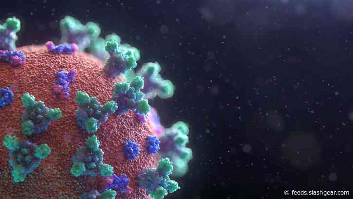 Yale study details breakthrough COVID cases and who is most at risk