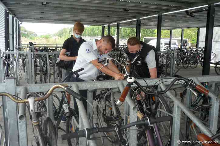 Dieven en vandalen teisteren fietsenstalling: “En het gaat van kwaad naar erger”