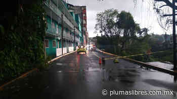 Reducen movilidad vehicular en ex vía del Huatusquito - plumas libres